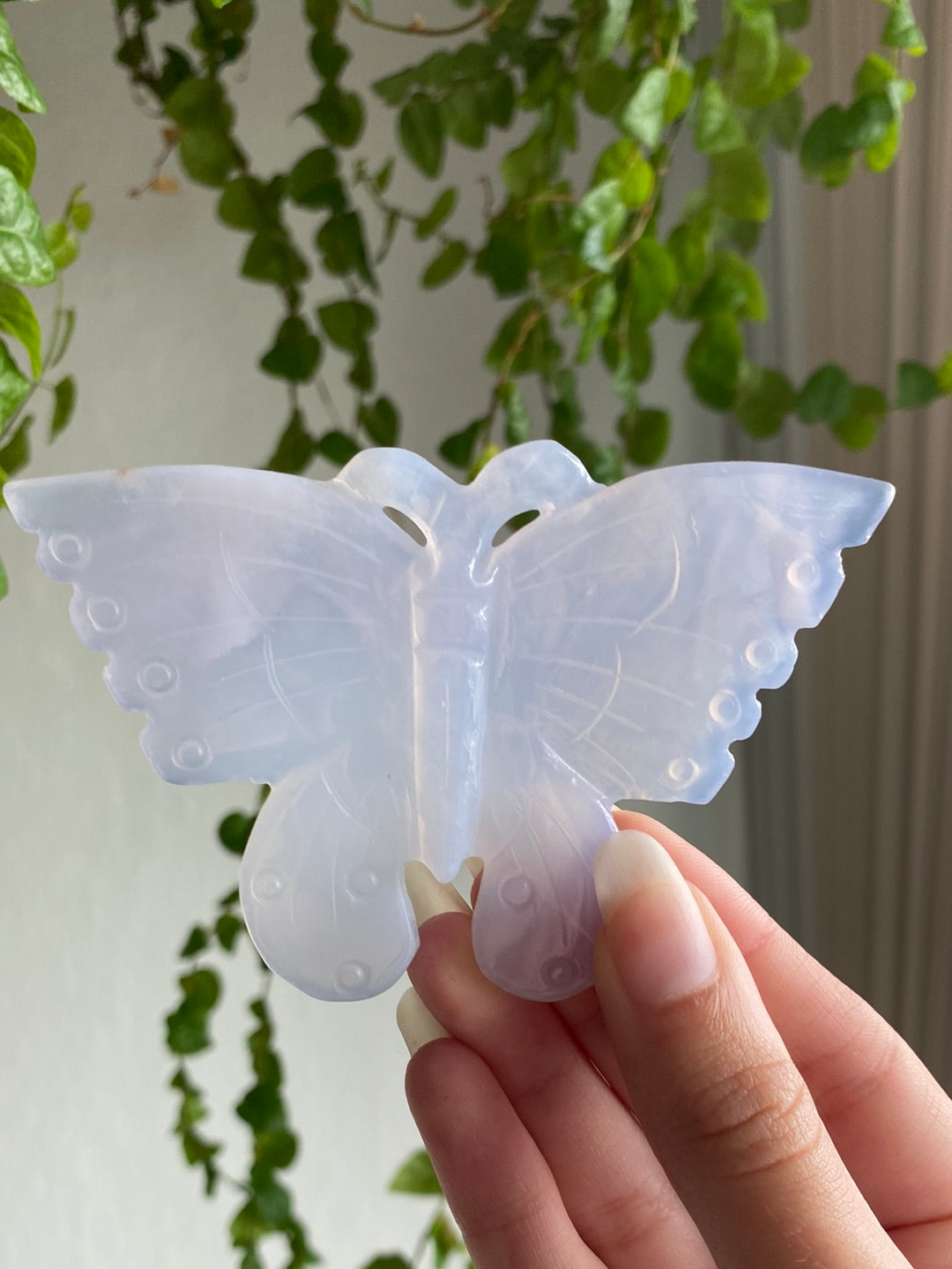 Large Clear Blue Chalcedony Butterfly | You Pick