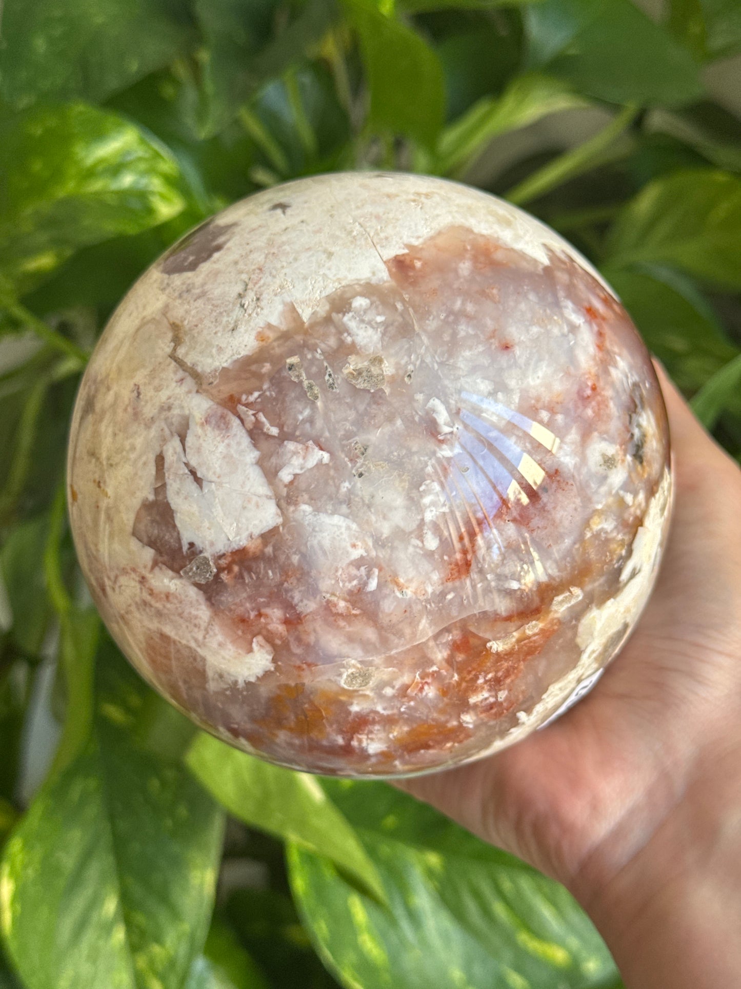 Statement Carnelian Flower Agate Sphere 110mm