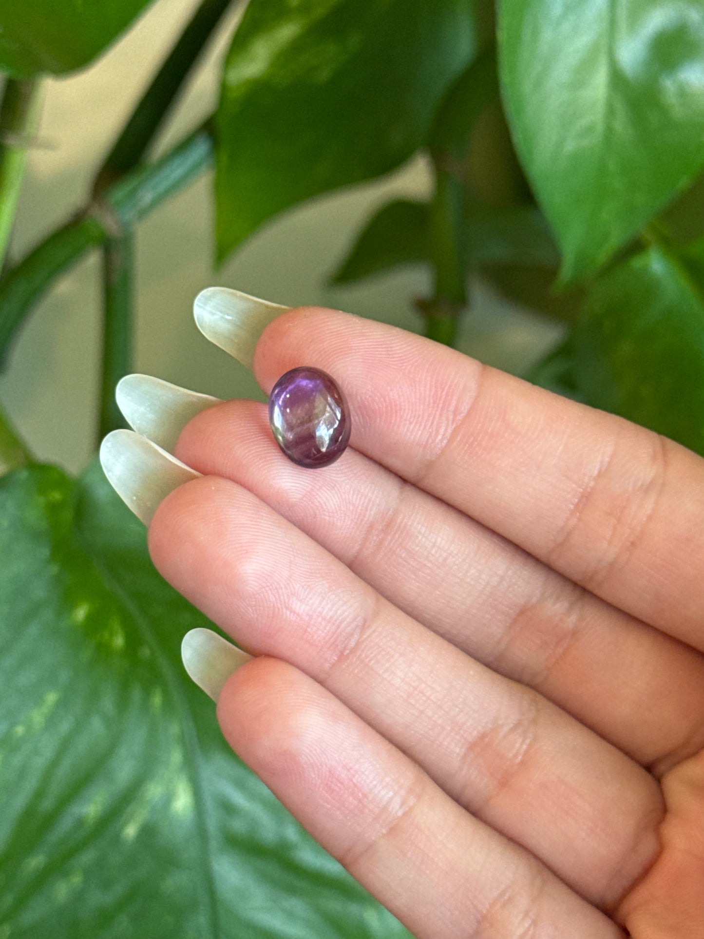Phantom Amethyst Cab