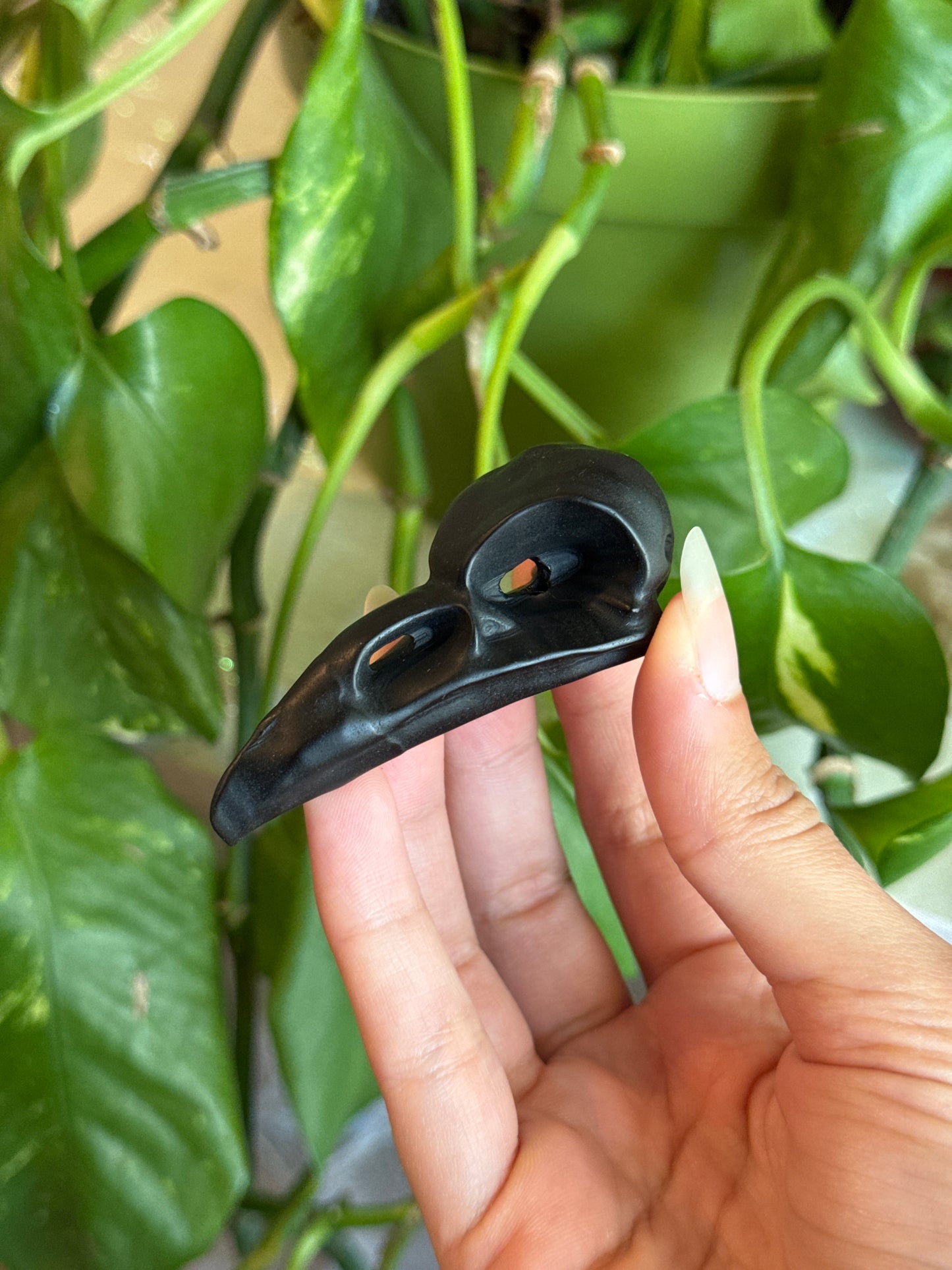 Obsidian Crow Skull