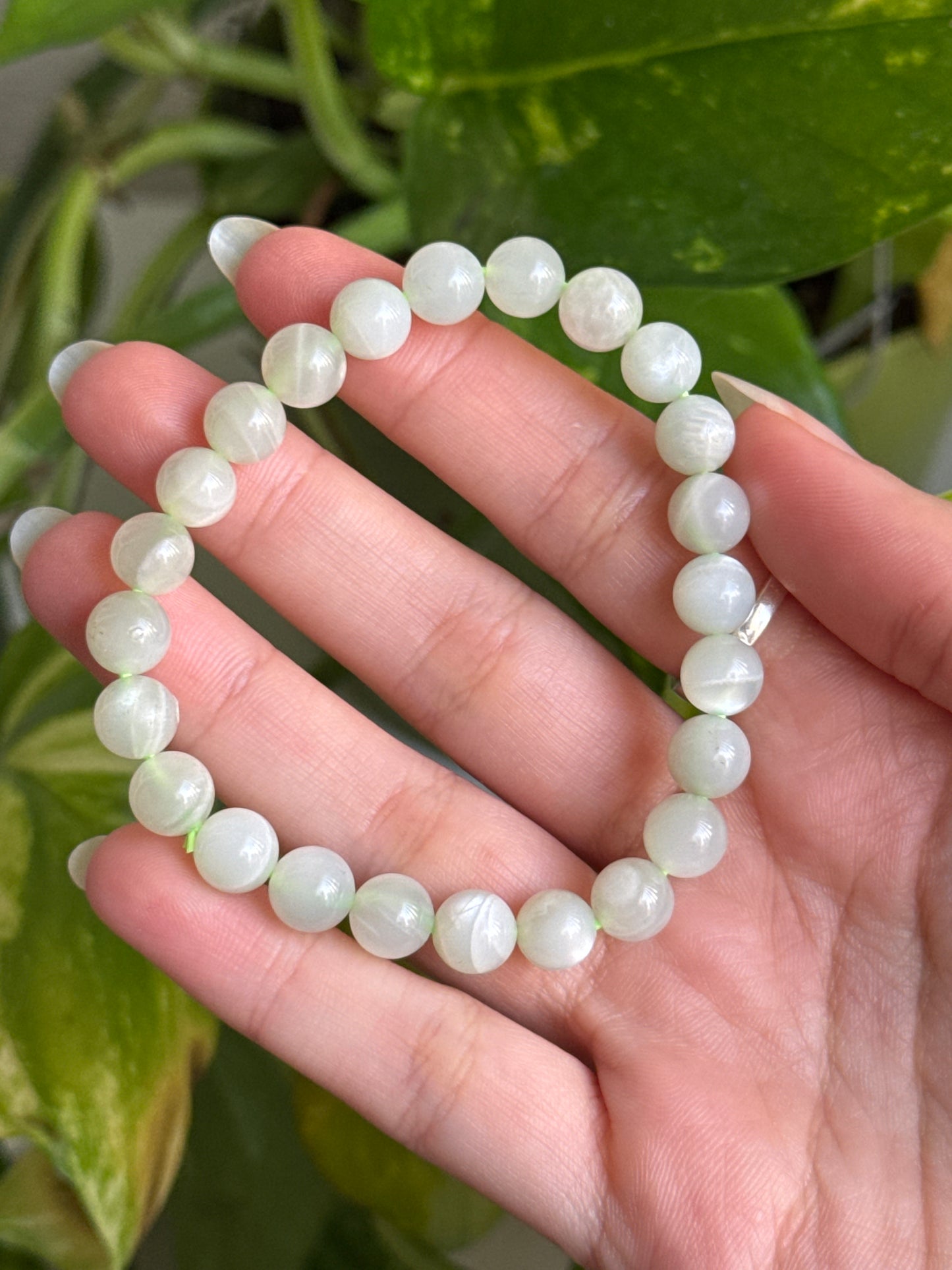 Sage Moonstone Bracelet