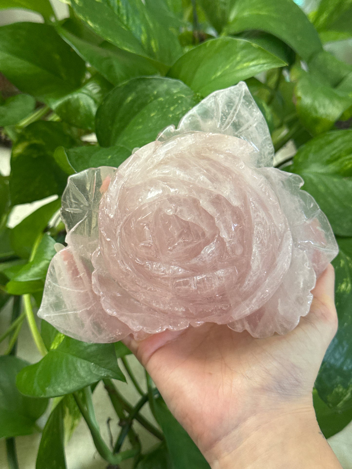 Statement Gemmy Rose Quartz Rose Carving