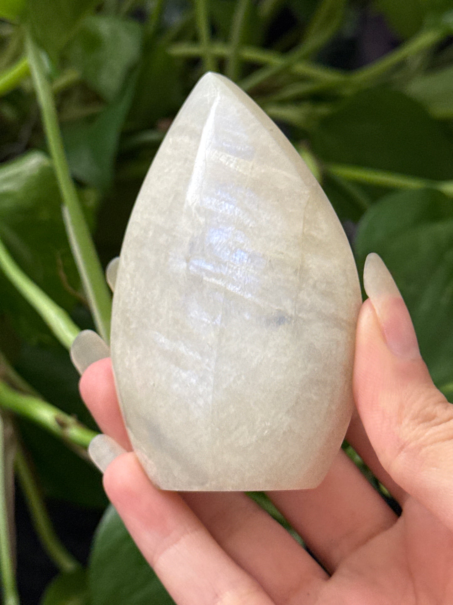 Super Flashy Moonstone Freeform *see vid for flash*