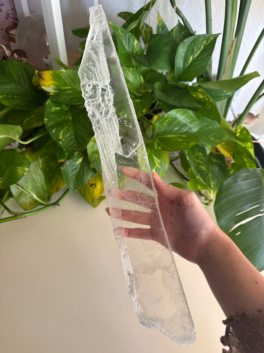 XL True Selenite “Ice Shard” B