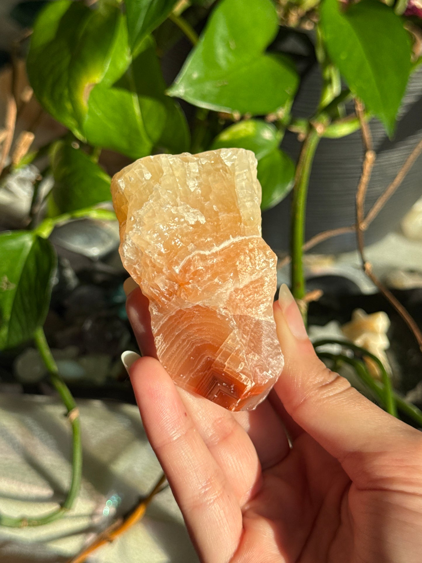 Peachy Banded Tri-Color Mexican Calcite D