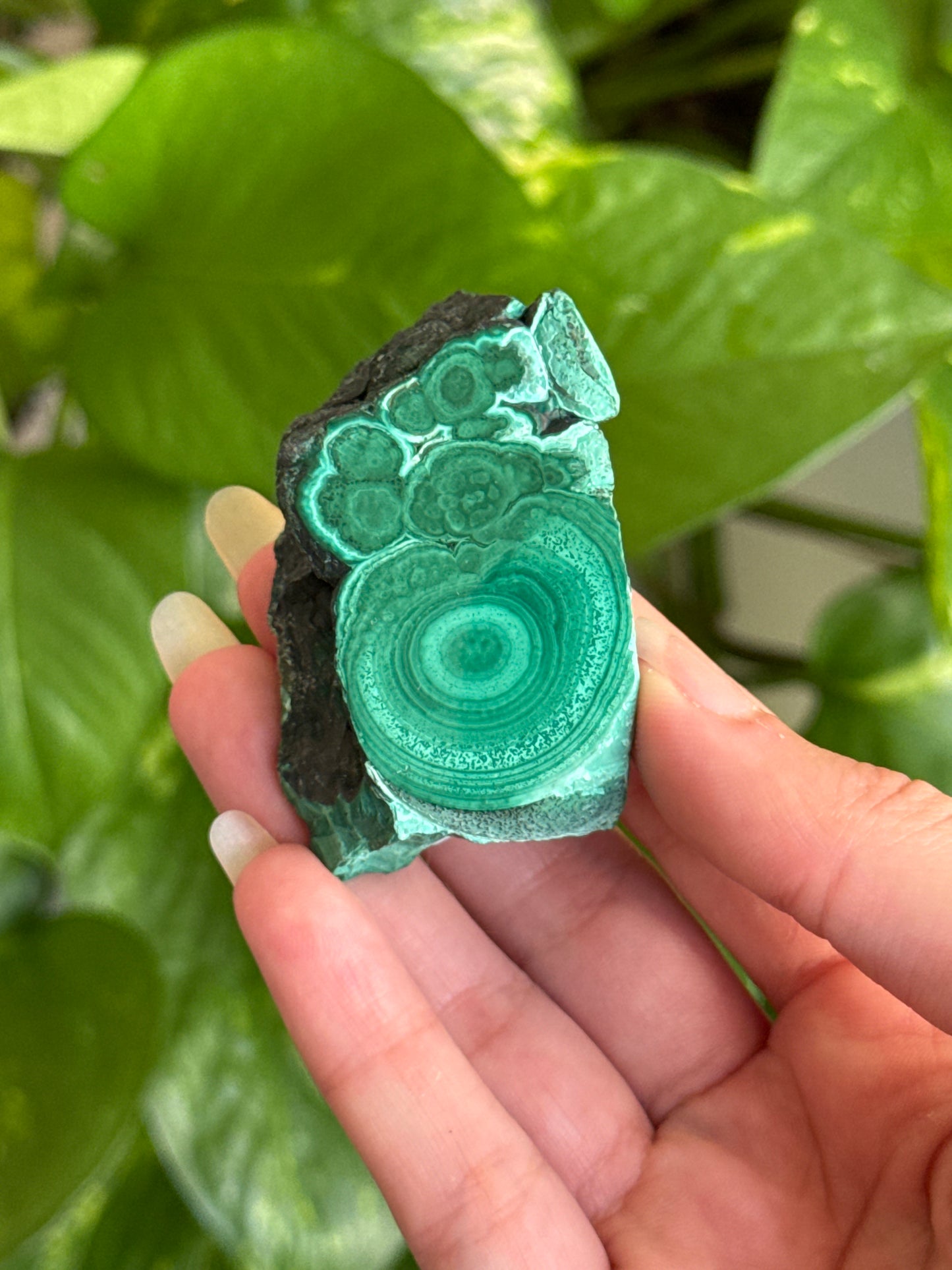 Half Polished Malachite Slab
