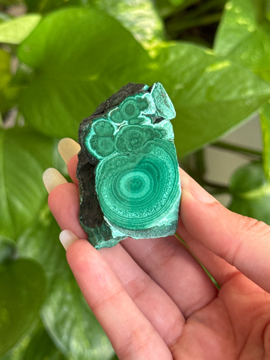 Half Polished Malachite Slab