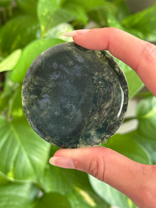 Clear Moss Agate Disk Batch B