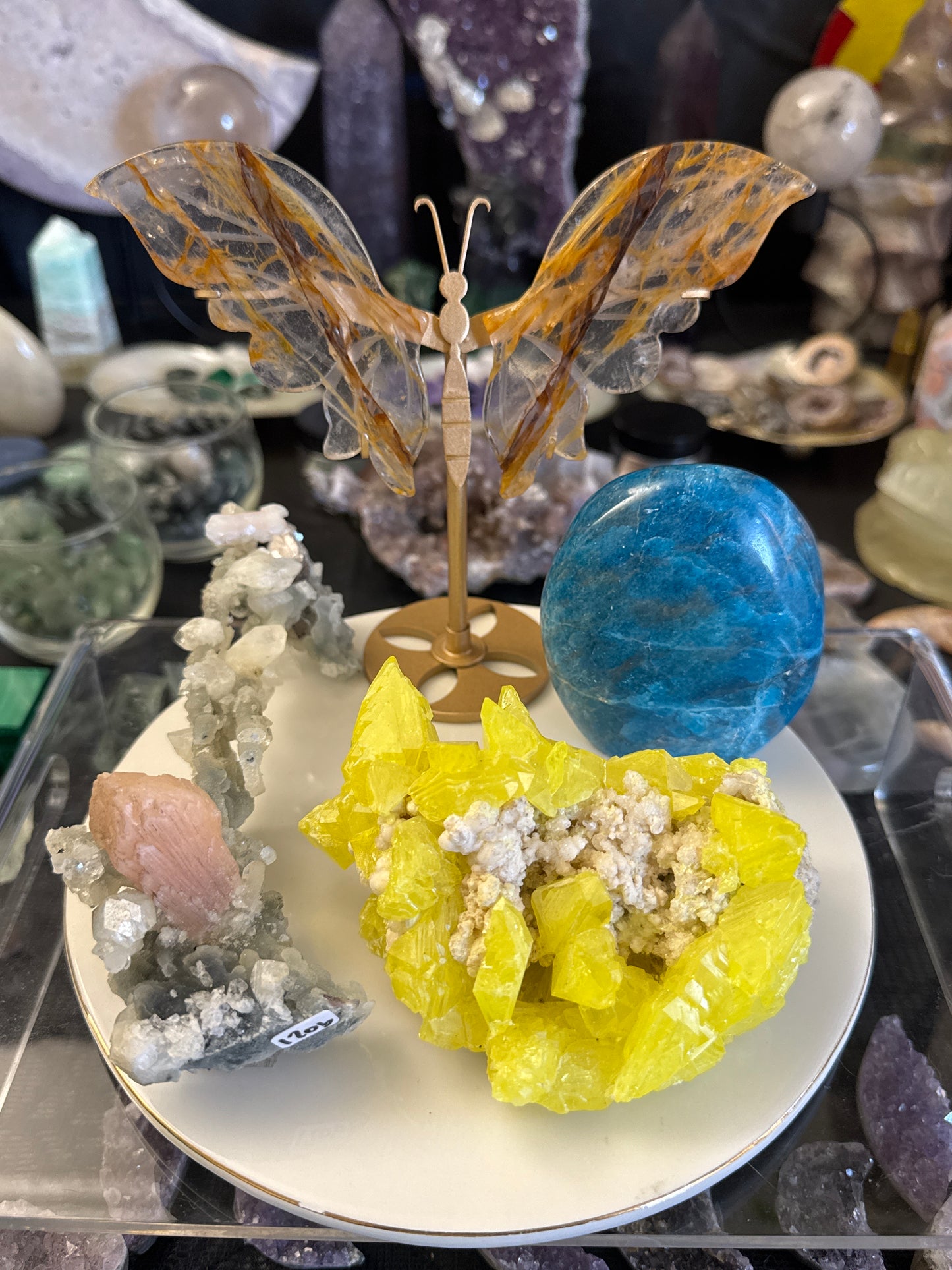 maloreejayne listing