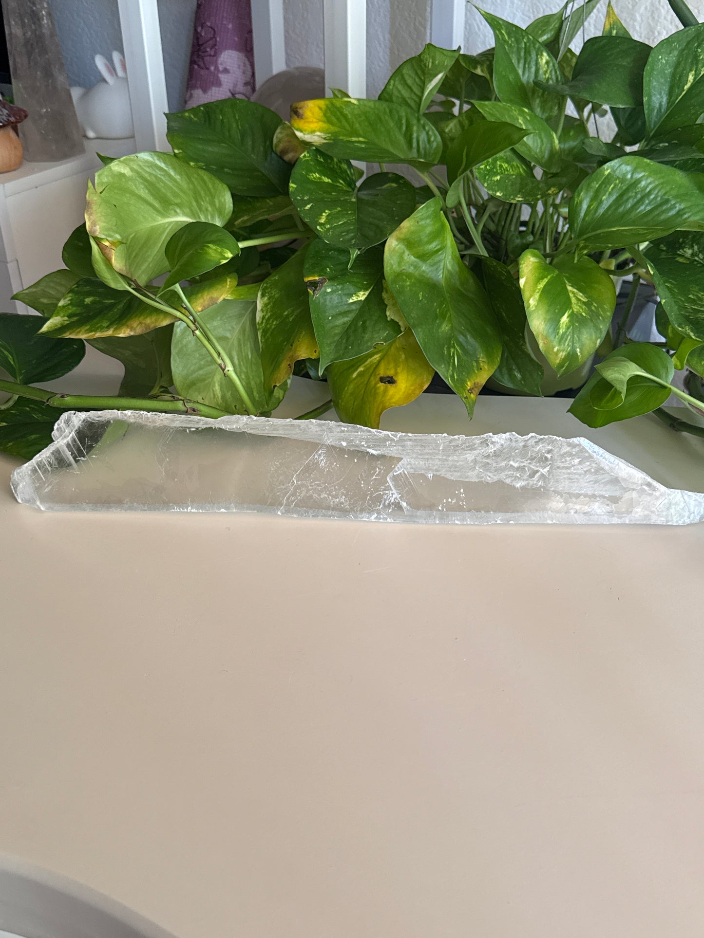 XL True Selenite “Ice Shard” B
