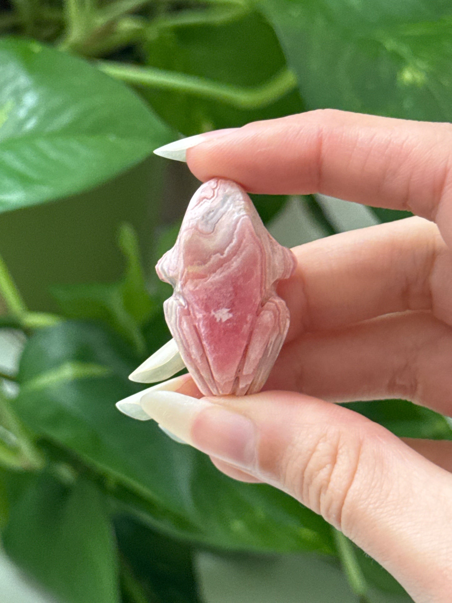 Rhodochrosite Hand Carved Frog