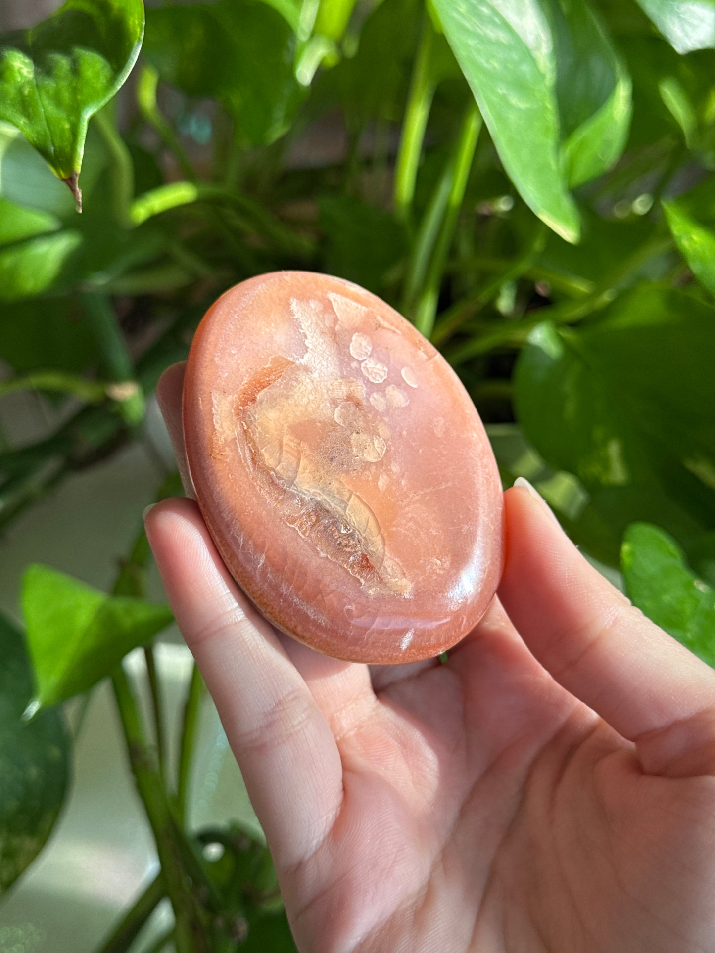 Half Moody, Half Pink Carnelian & Orca Agate Palmstone
