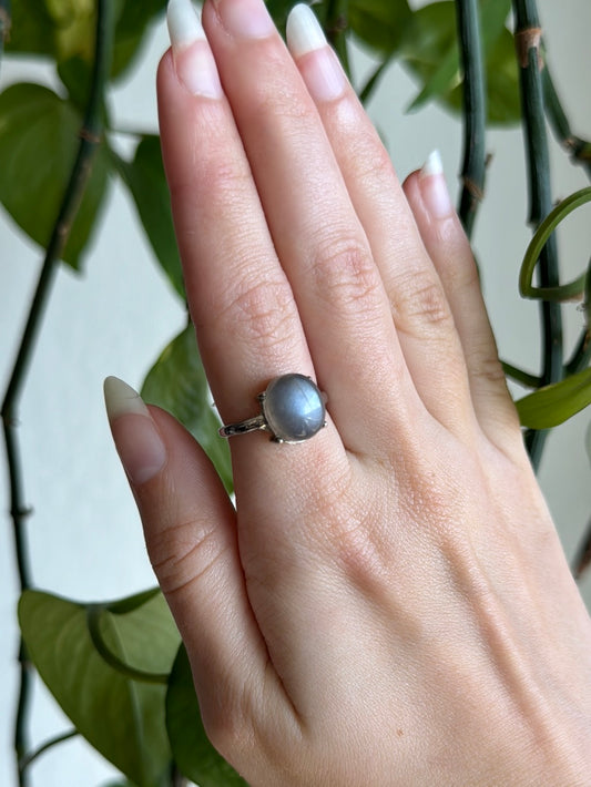 Grey Moonstone Adjustable Ring