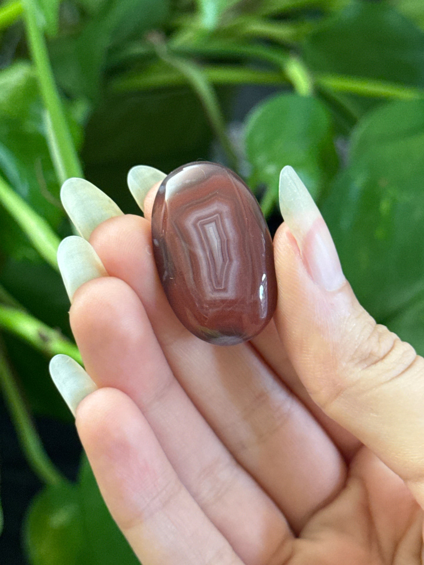 Botswana Agate Oval With Parallax
