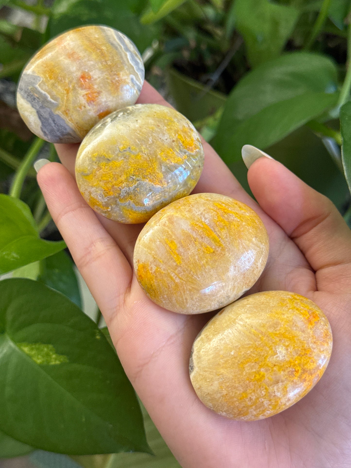 Bumblebee Jasper Palmstone