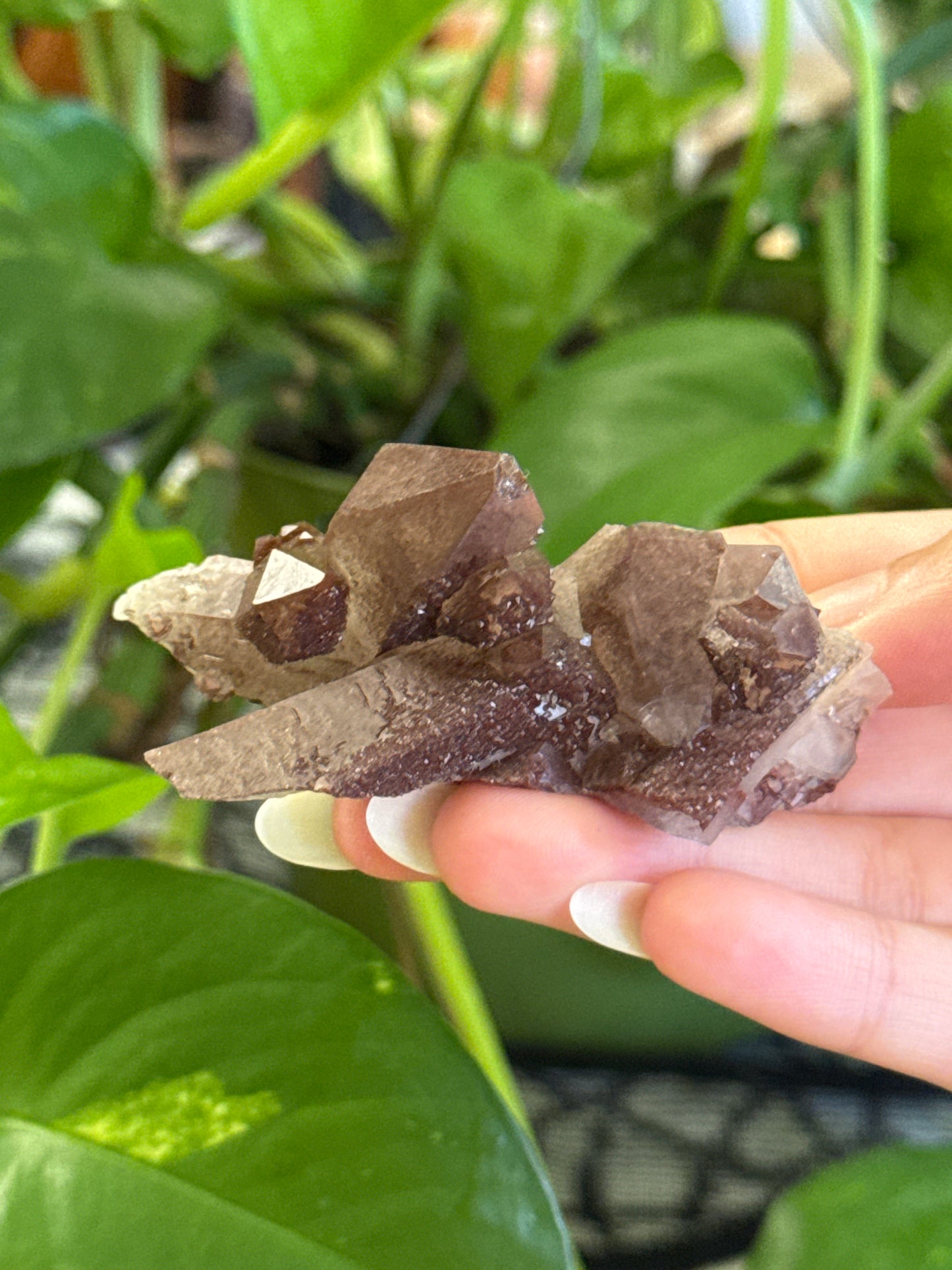 Sparkly Hematite Coated Quartz Specimen A