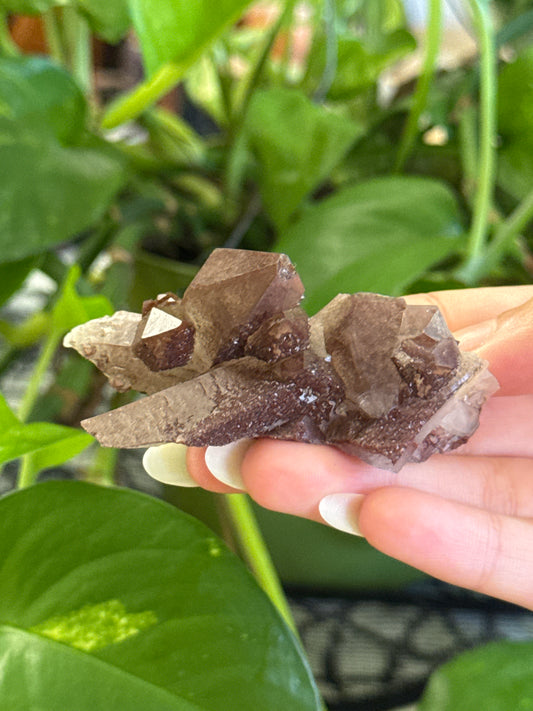 Sparkly Hematite Coated Quartz Specimen A