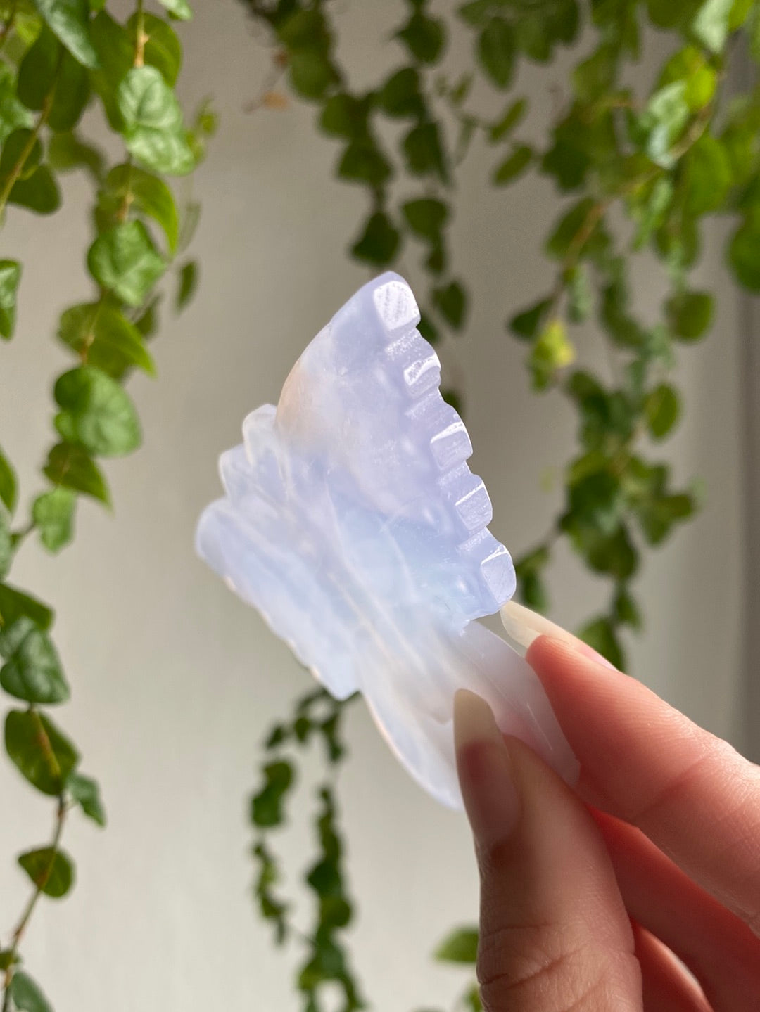 Large Clear Blue Chalcedony Butterfly | You Pick