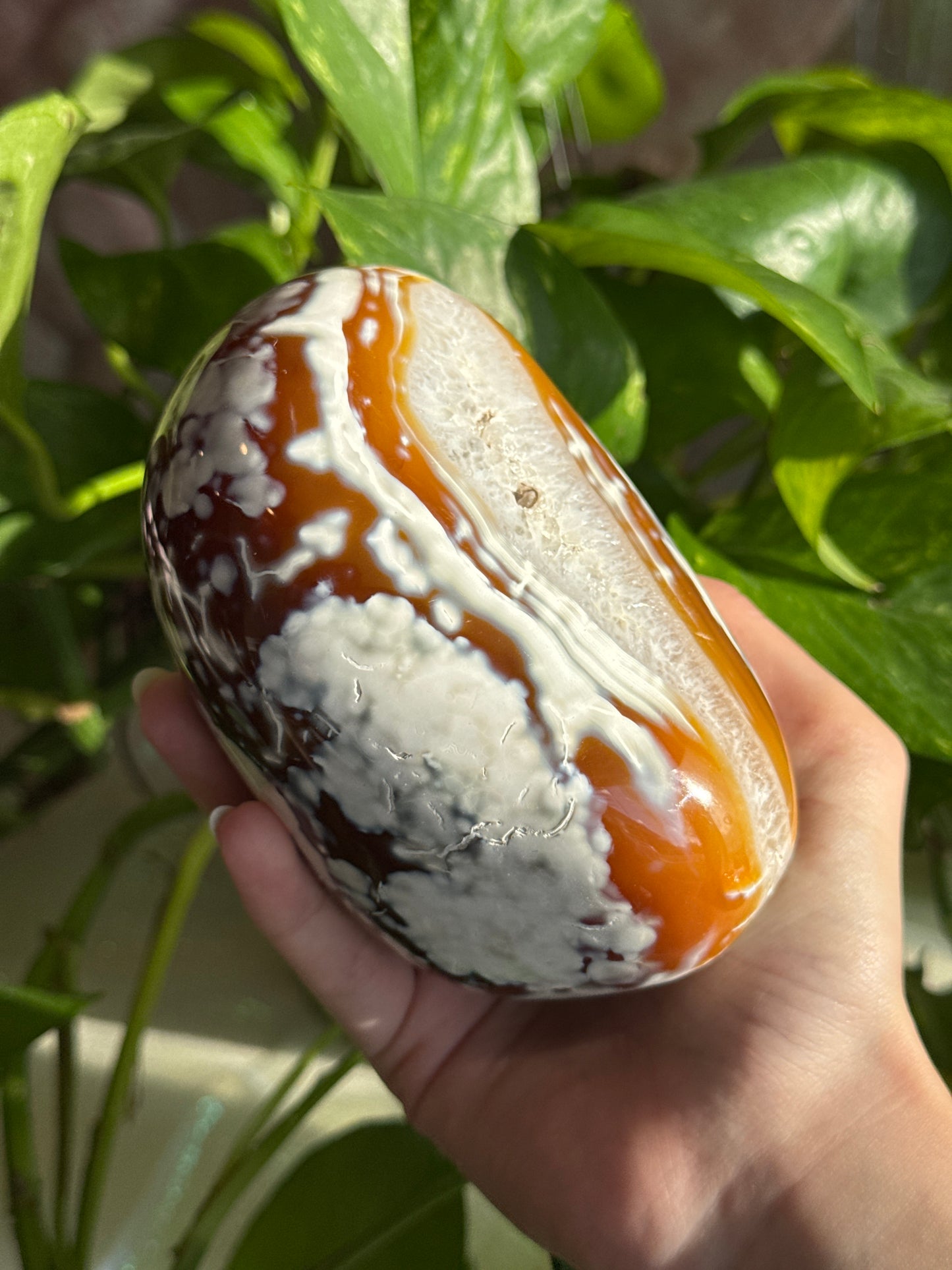 Unique Dreamy Carnelian & Quartz & Orca Agate Large Freeform