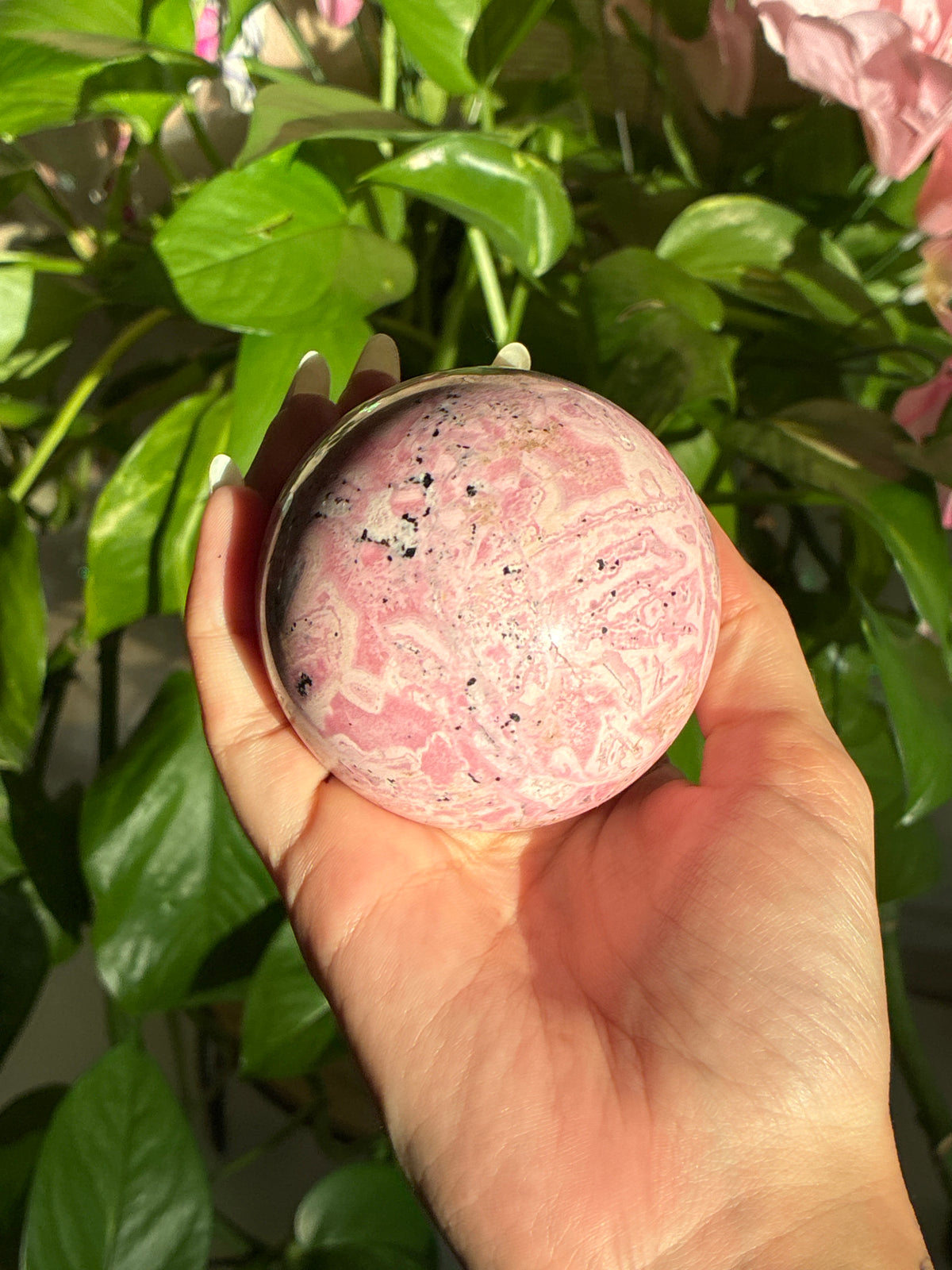 Large Bubblegum Rhodonite Sphere