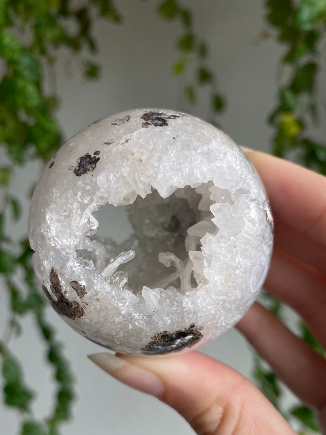 Unique Argentina Agate Druzy Sphere C