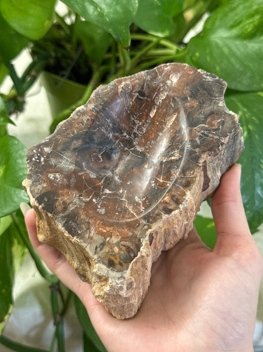 Petrified Wood Bowl