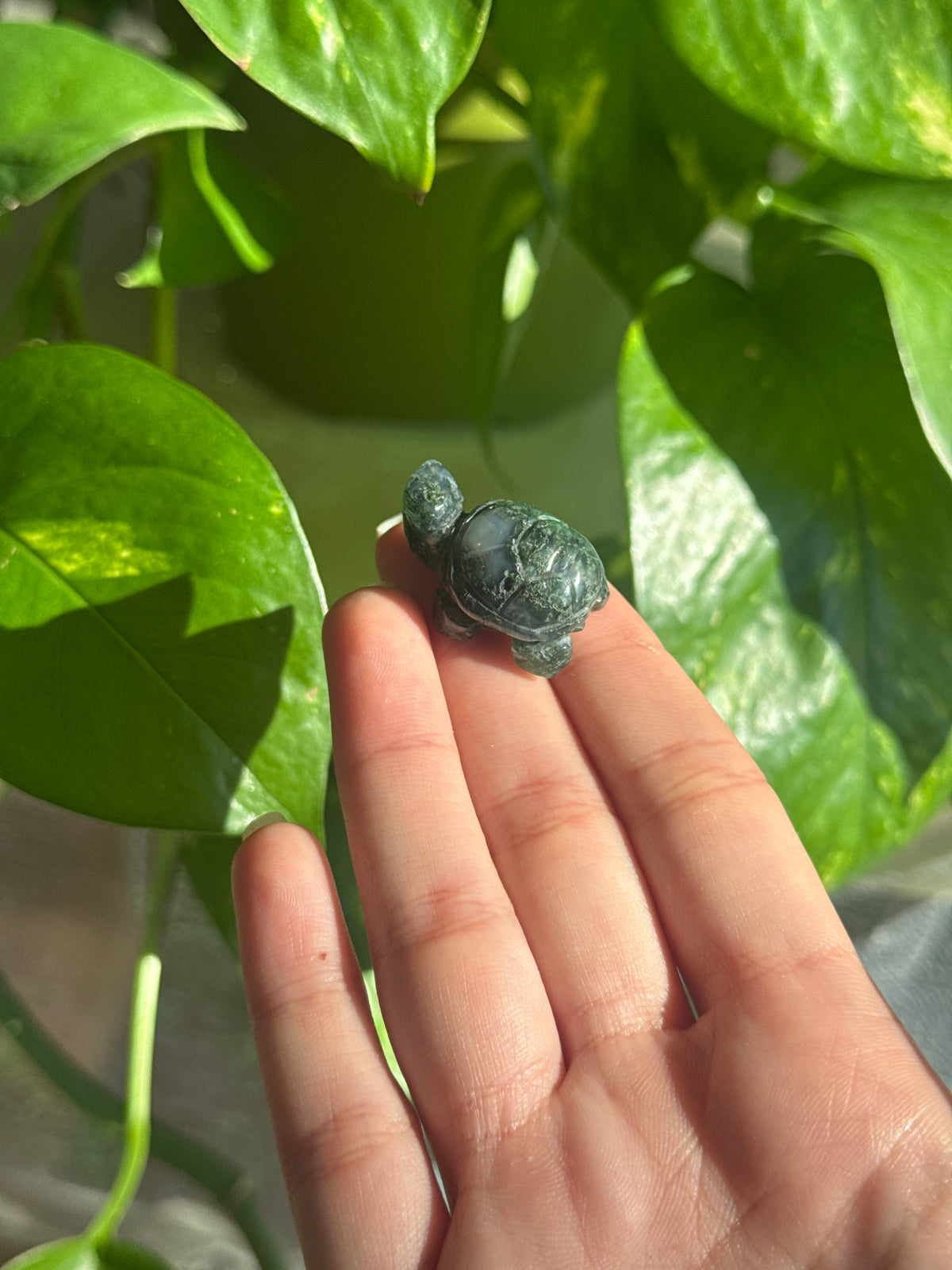 Dark Moss Agate Turtle