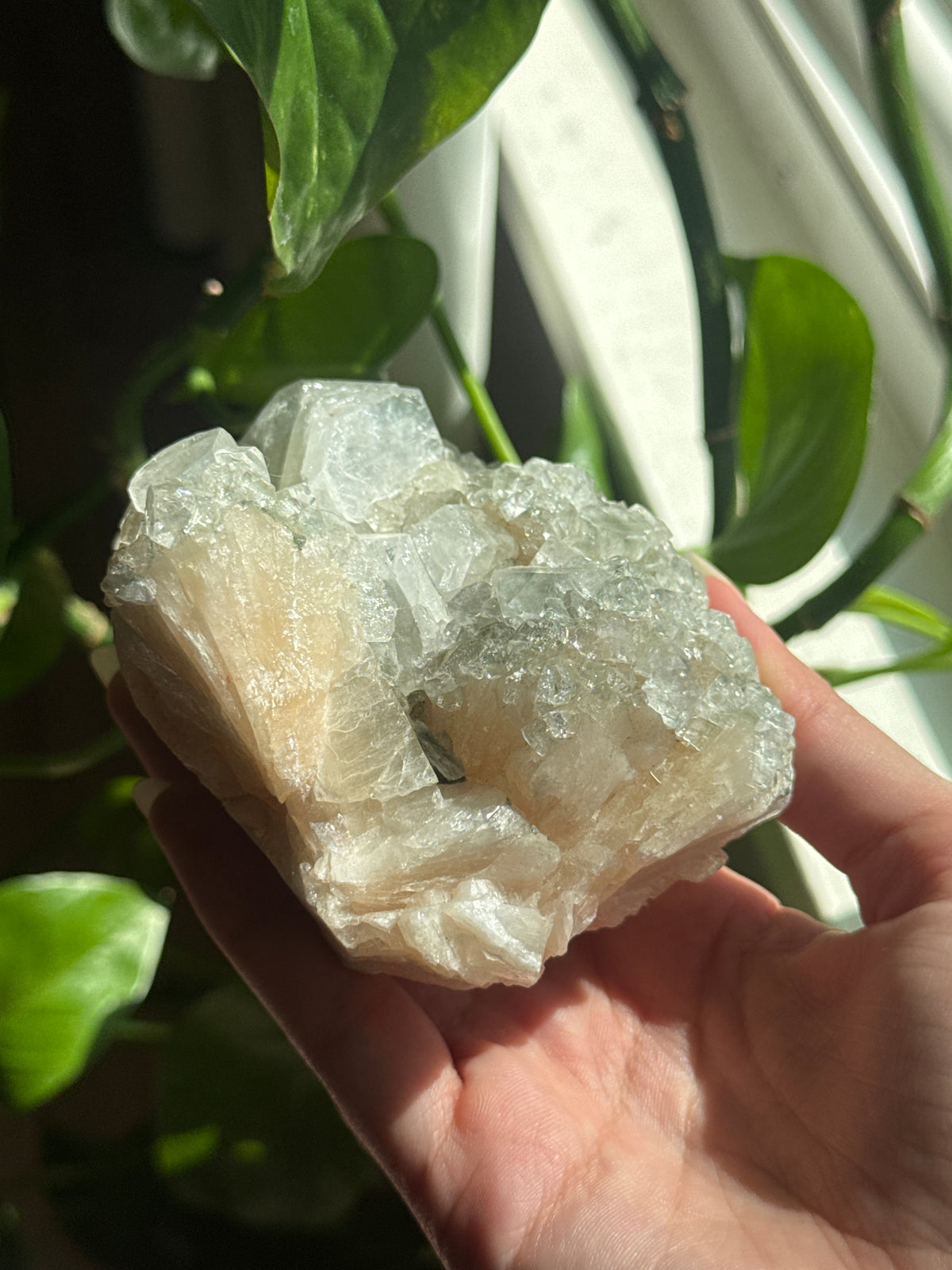 Peach Stilbite and Cubic Apophylite Specimen