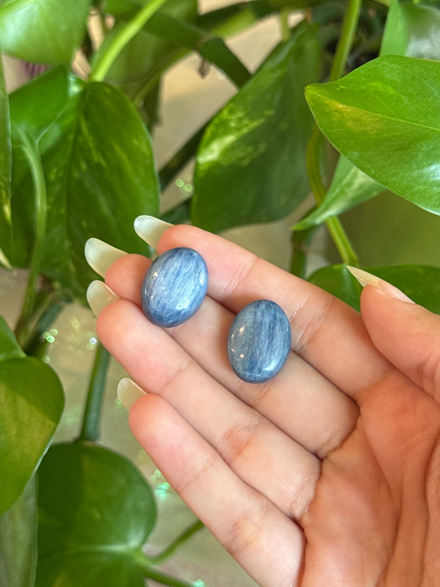 Shiny Kyanite Oval