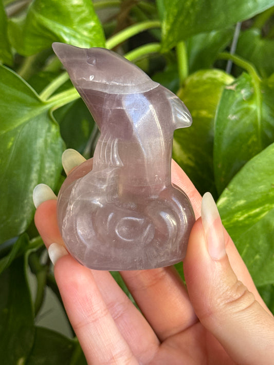 Fluorite Dolphin