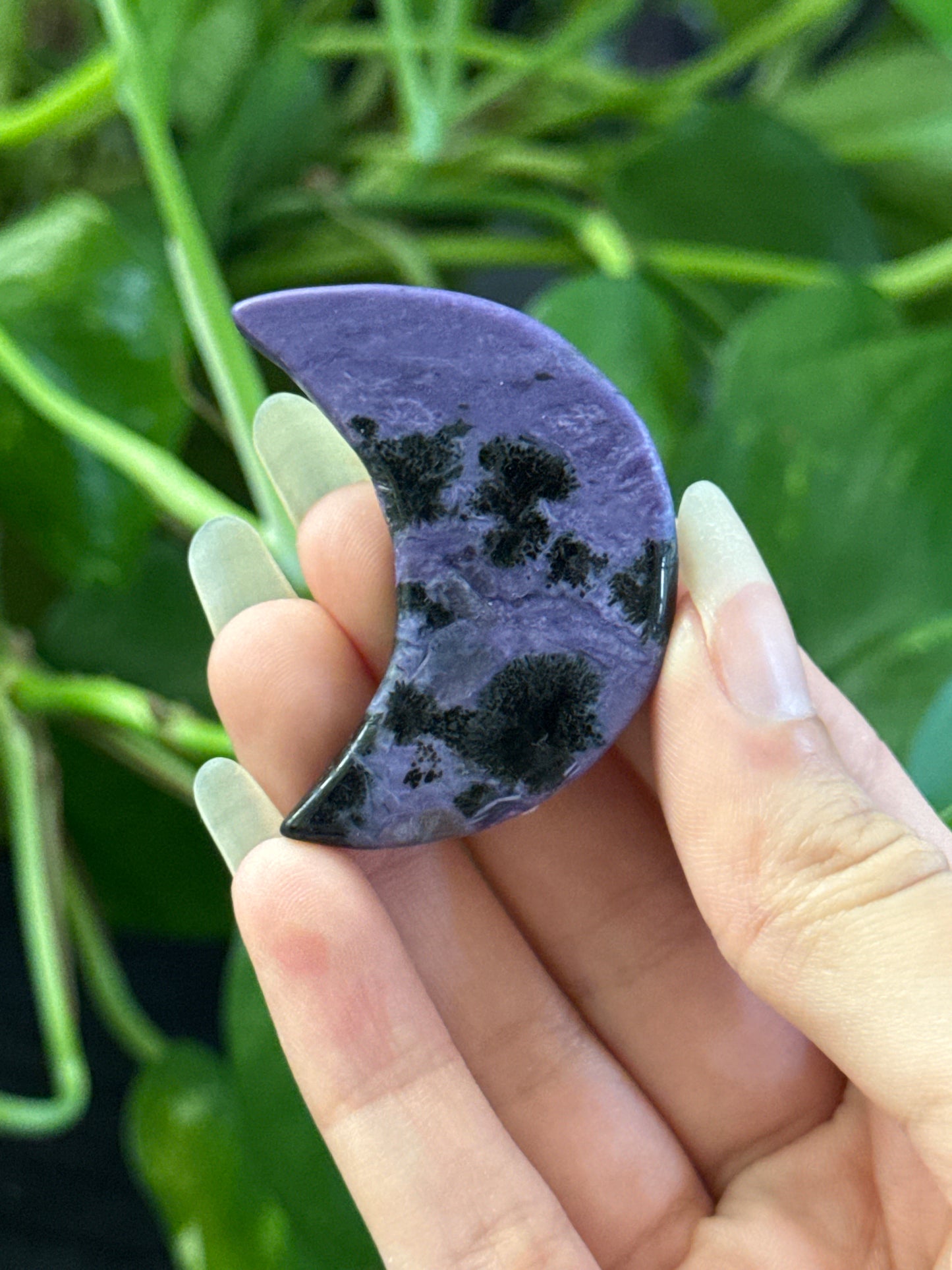 Charoite Crescent Moon | You Pick