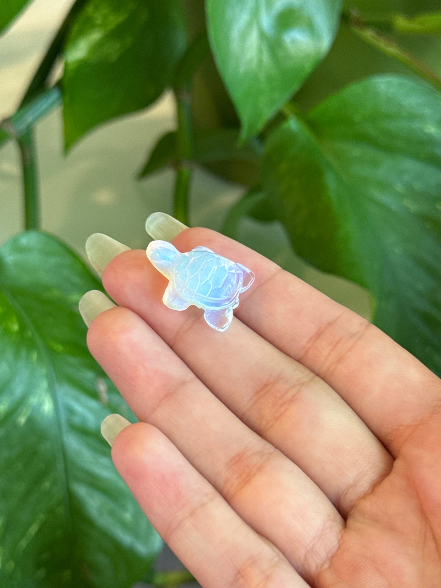 Opalite Mini Turtle