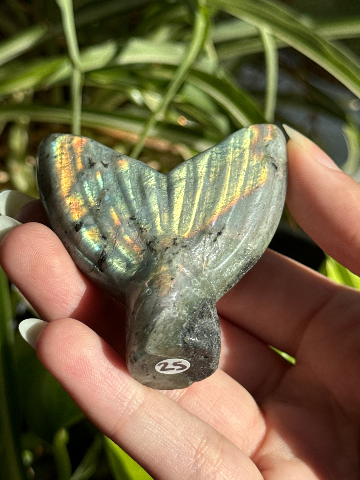 Labradorite Mermaid Tail