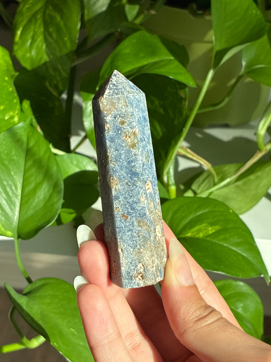 Kyanite Tower with Garnet B