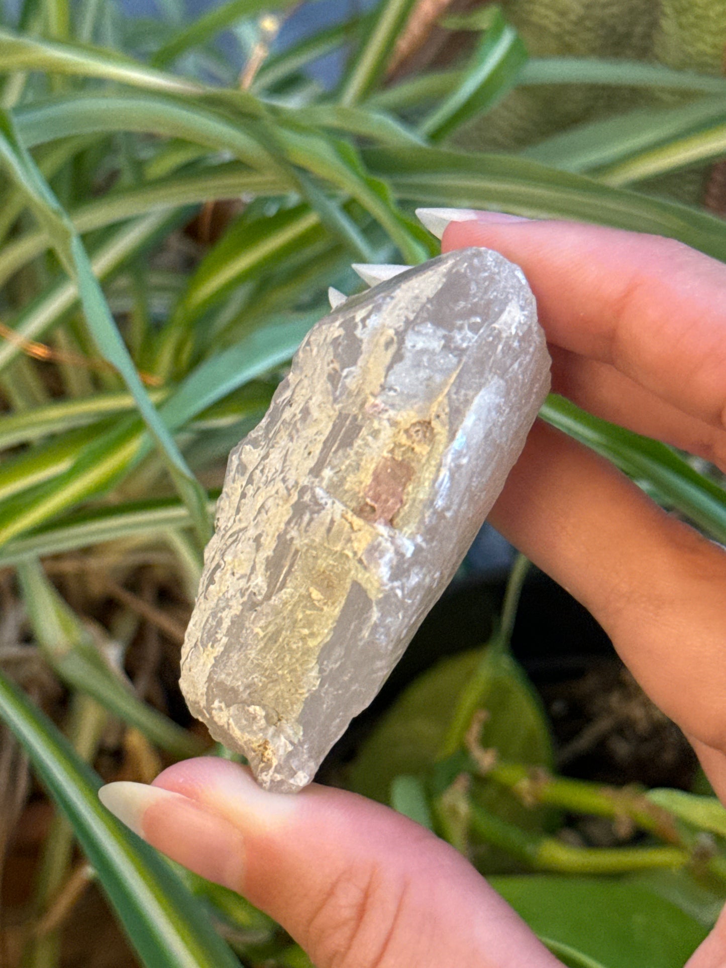 Pink Tourmaline in Smoky Quartz Specimen