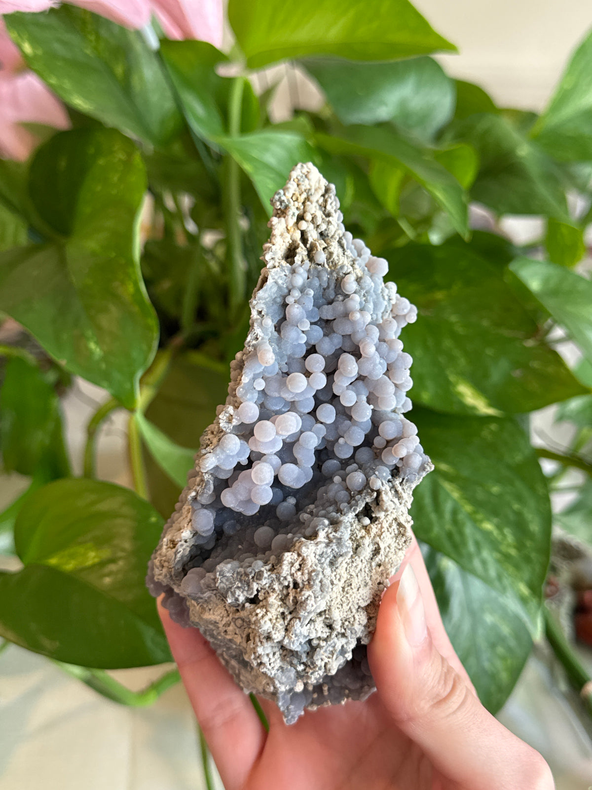 Sparkly Purple & Green Grape Agate Large Specimen