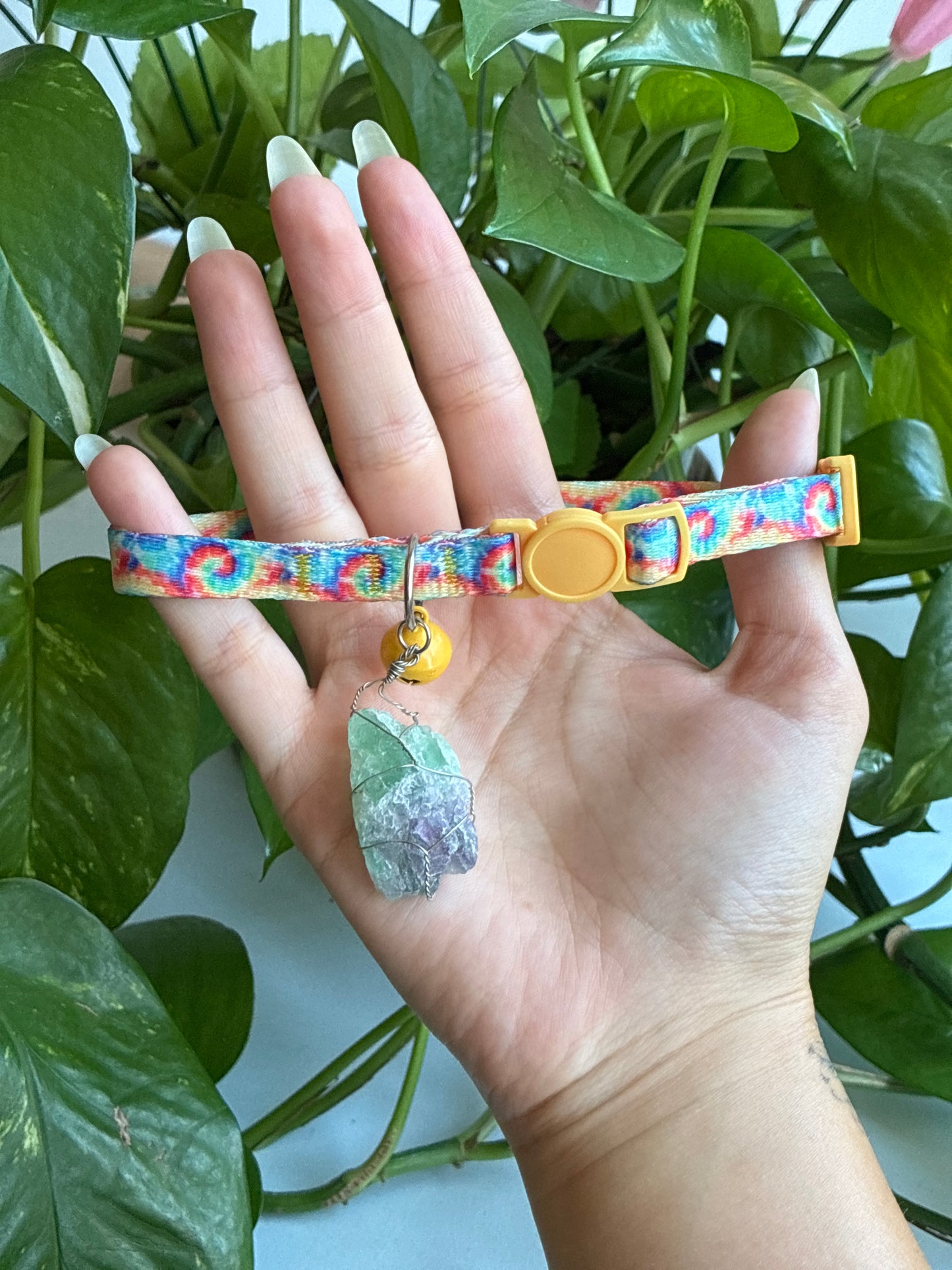 Crystal Kitty Collar | You Pick Style