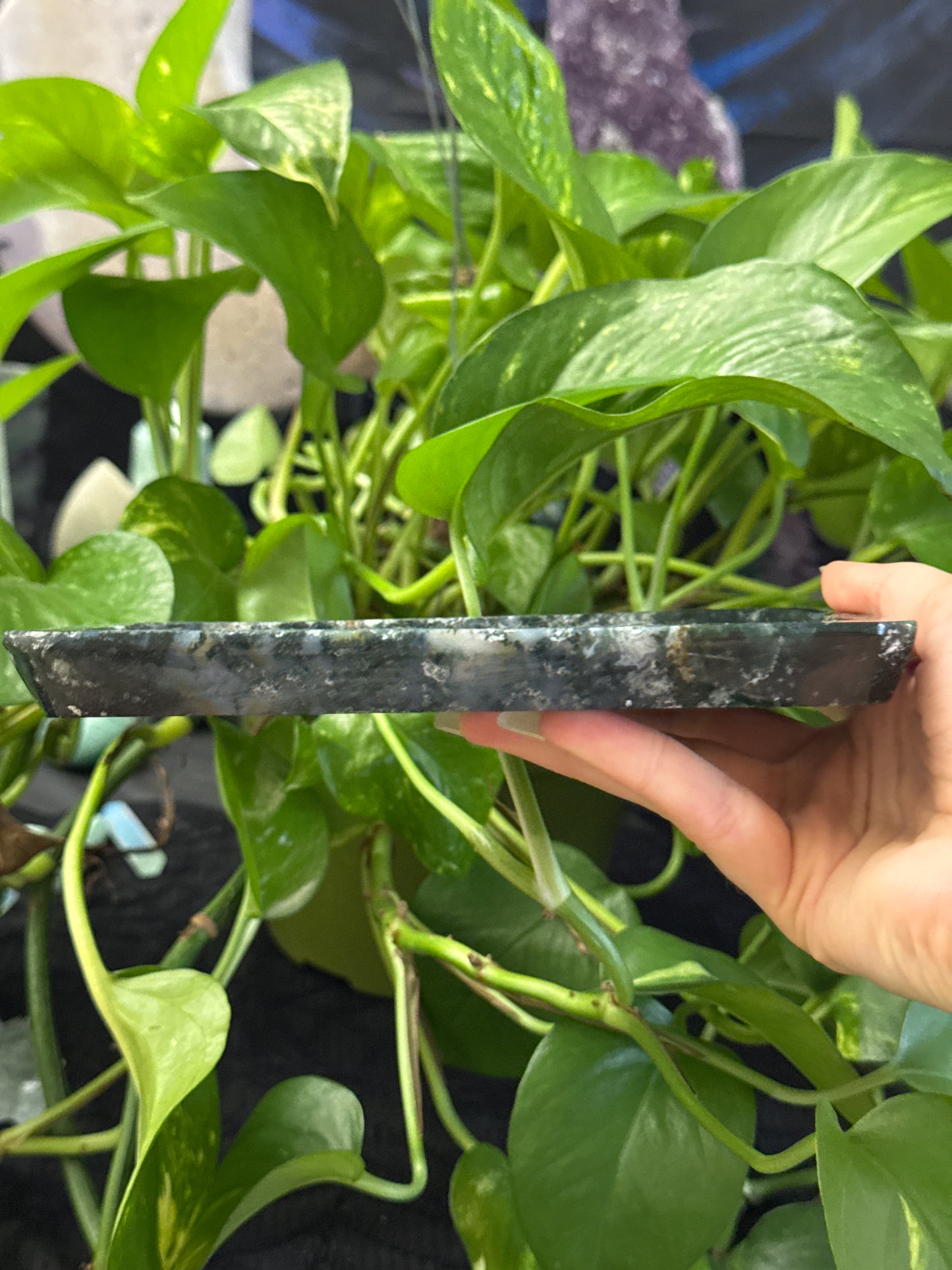 Carnelian Moss Agate Rectangular Tray