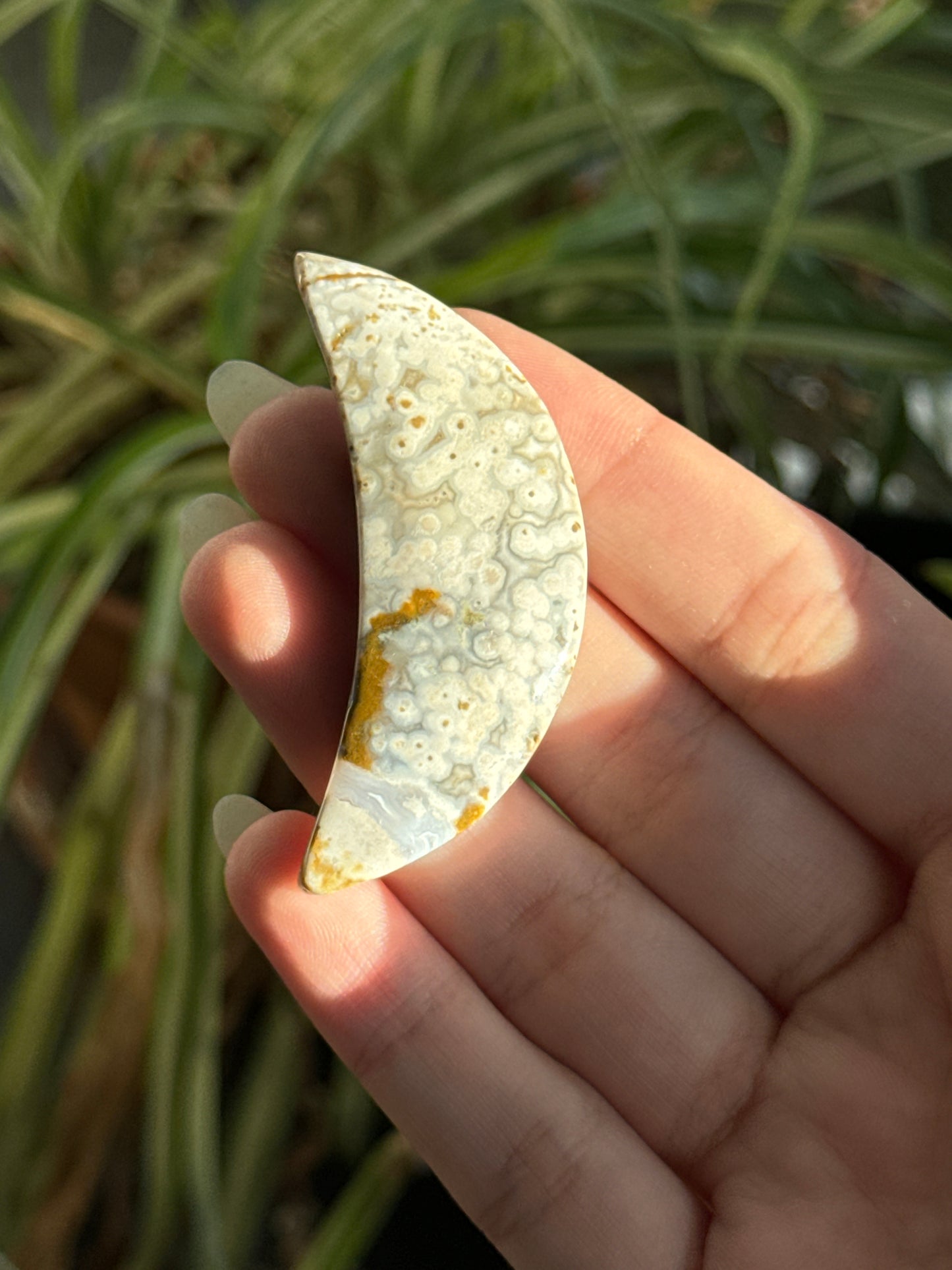 Sea Jasper Crescent Moon