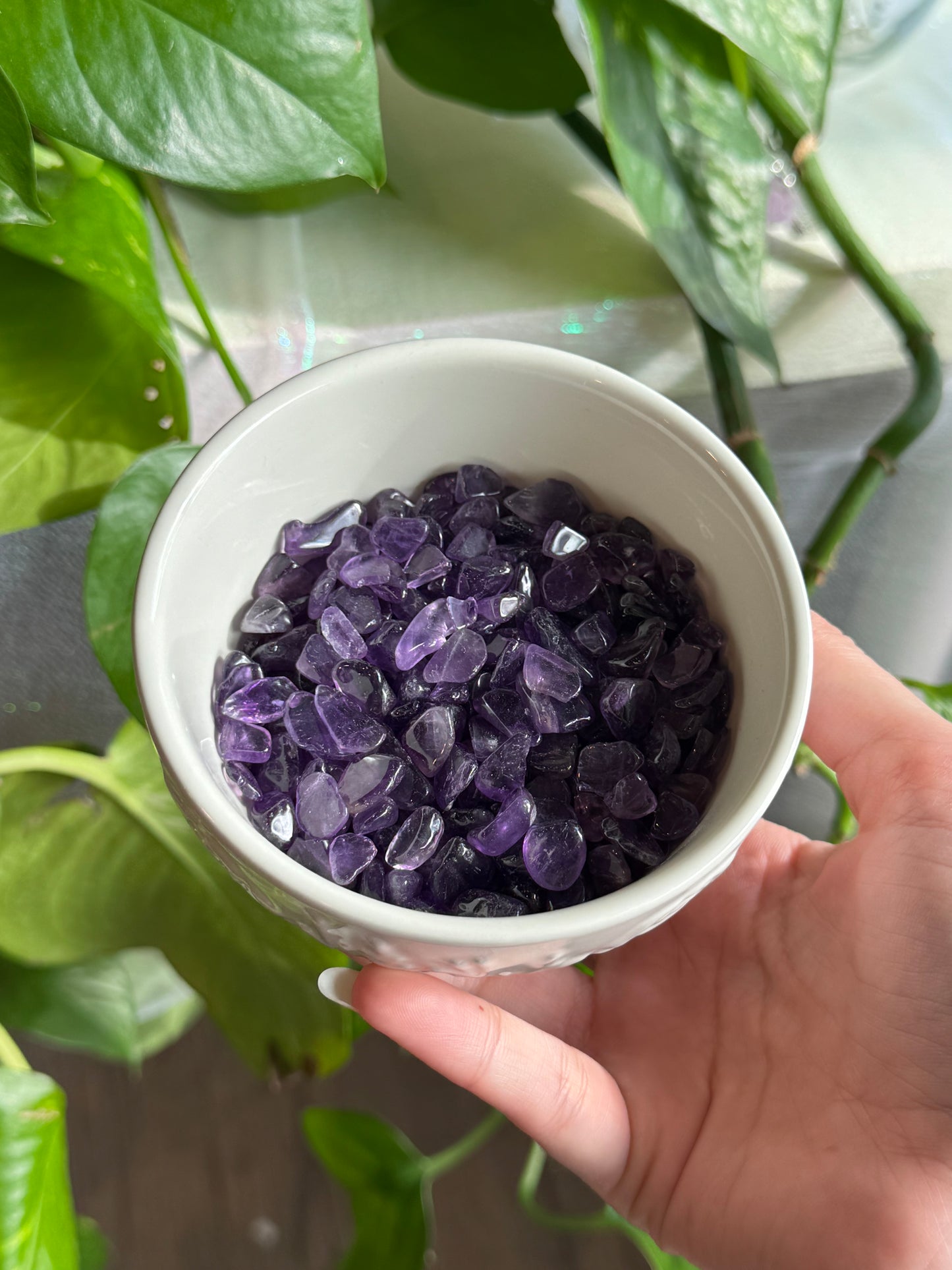 Amethyst Chips