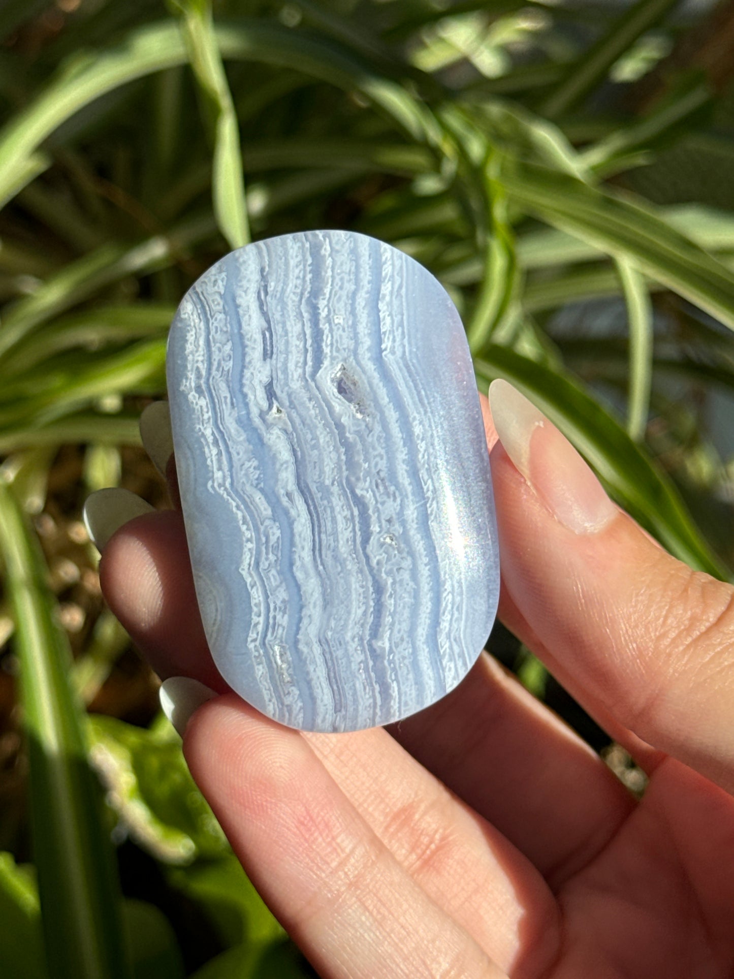 Blue Lace Agate Palmstone | You Pick