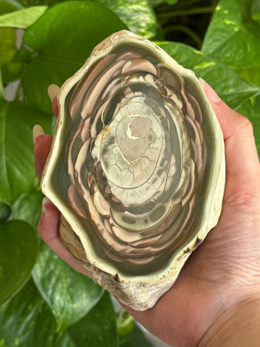 Large Statement Imperial Jasper Half Geode A