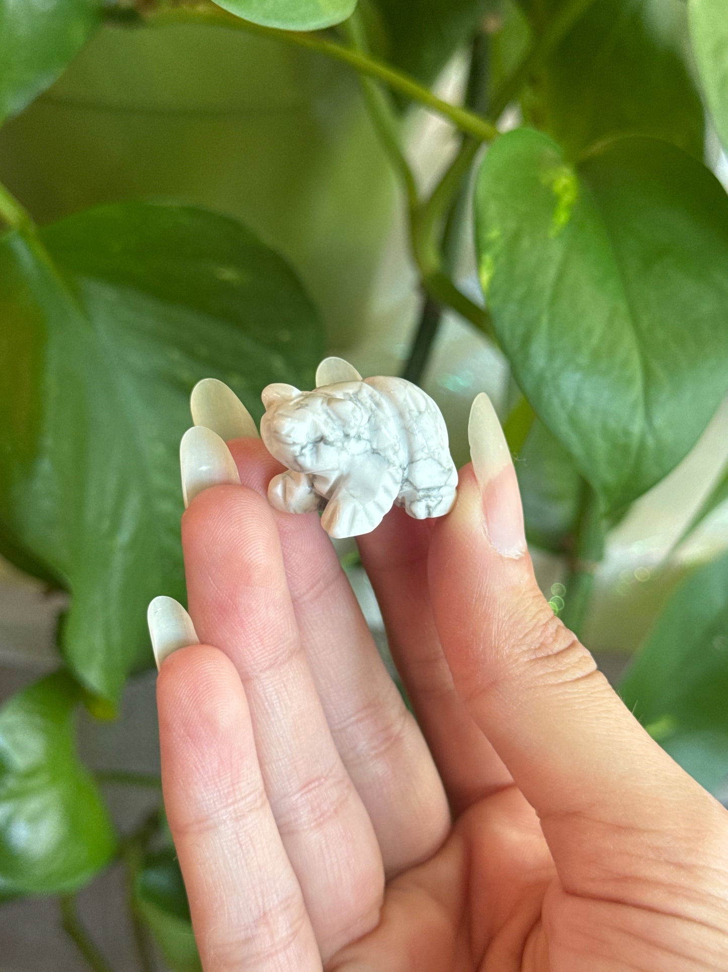 Howlite Bear