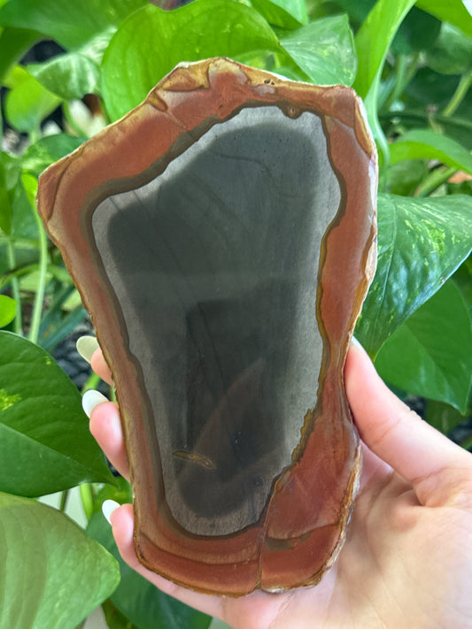 Moody Polychrome Jasper Slab B
