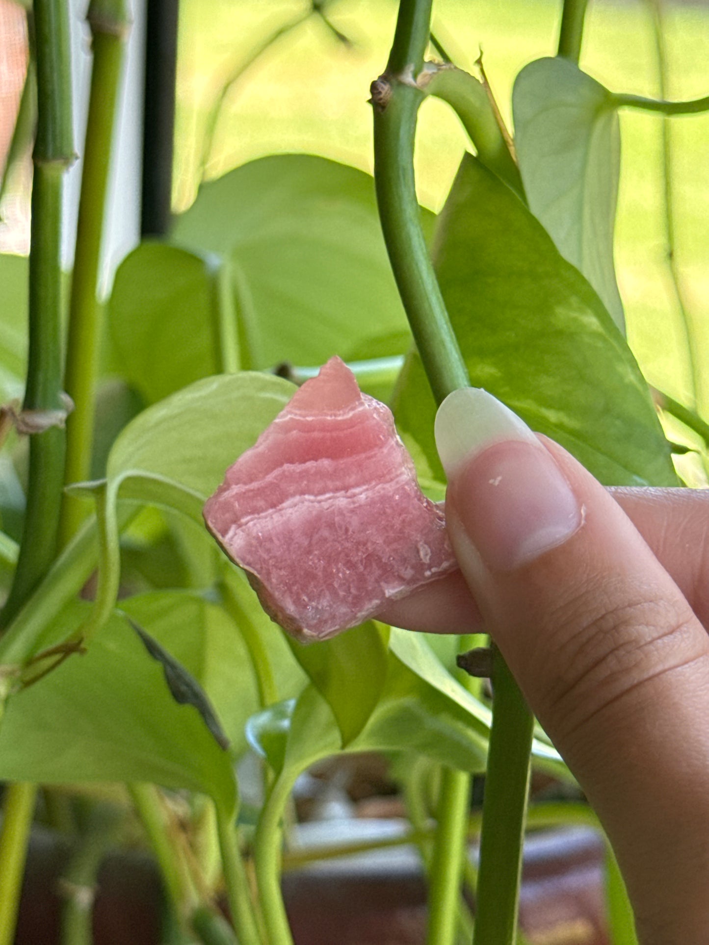 Mini Rhodochrosite Slab