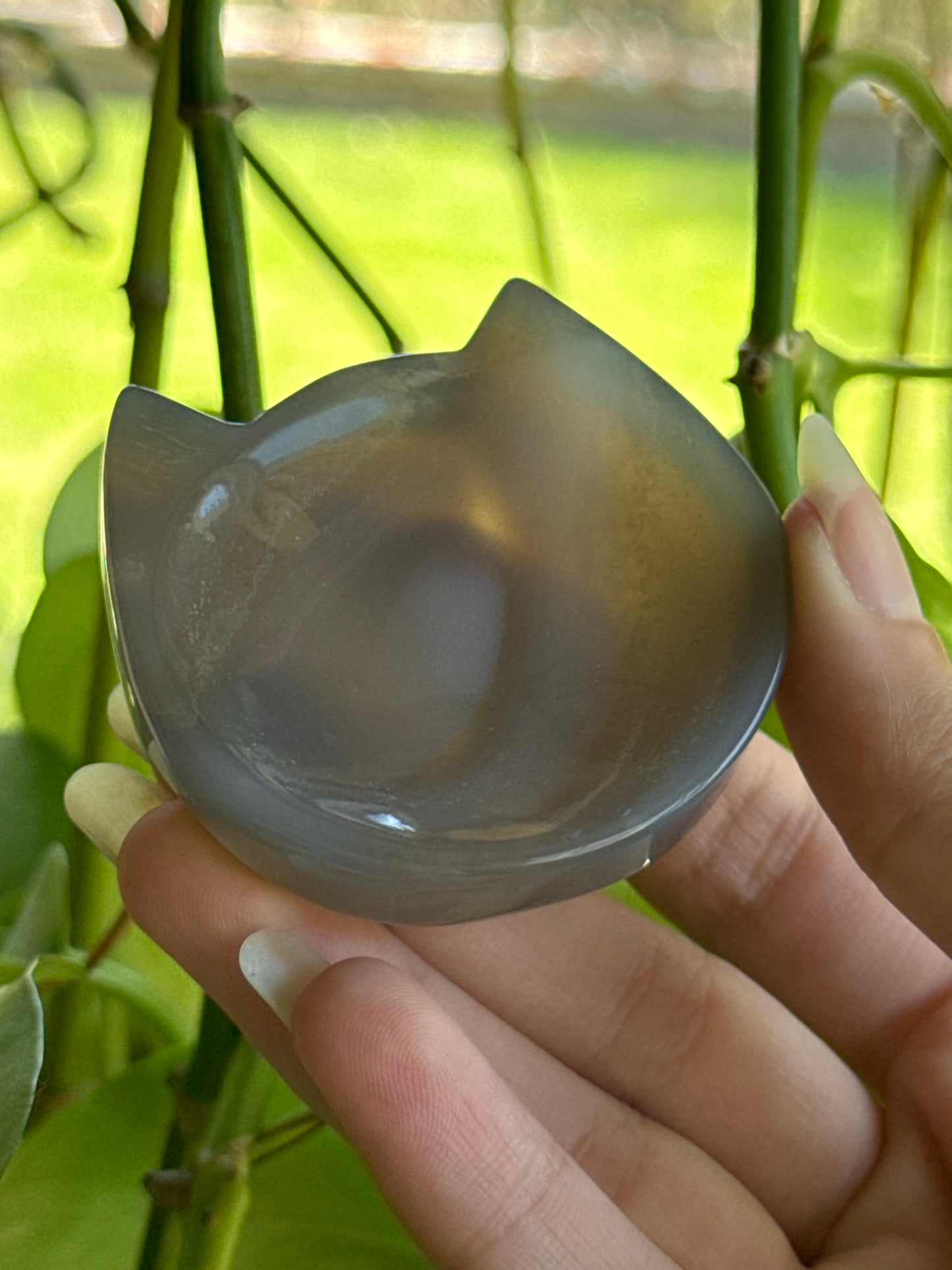 Agate Kitty Bowl