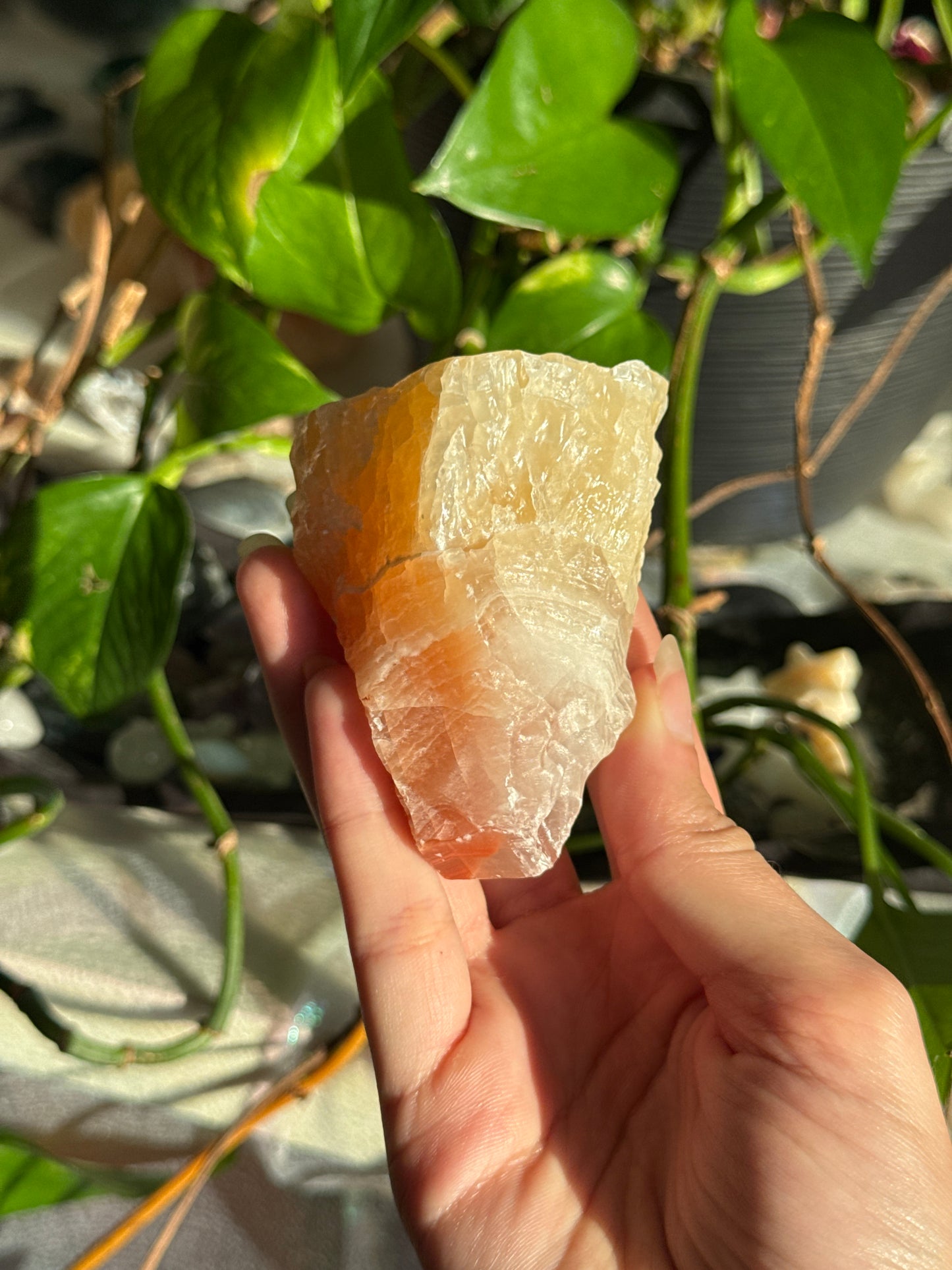 Peachy Banded Tri-Color Mexican Calcite D