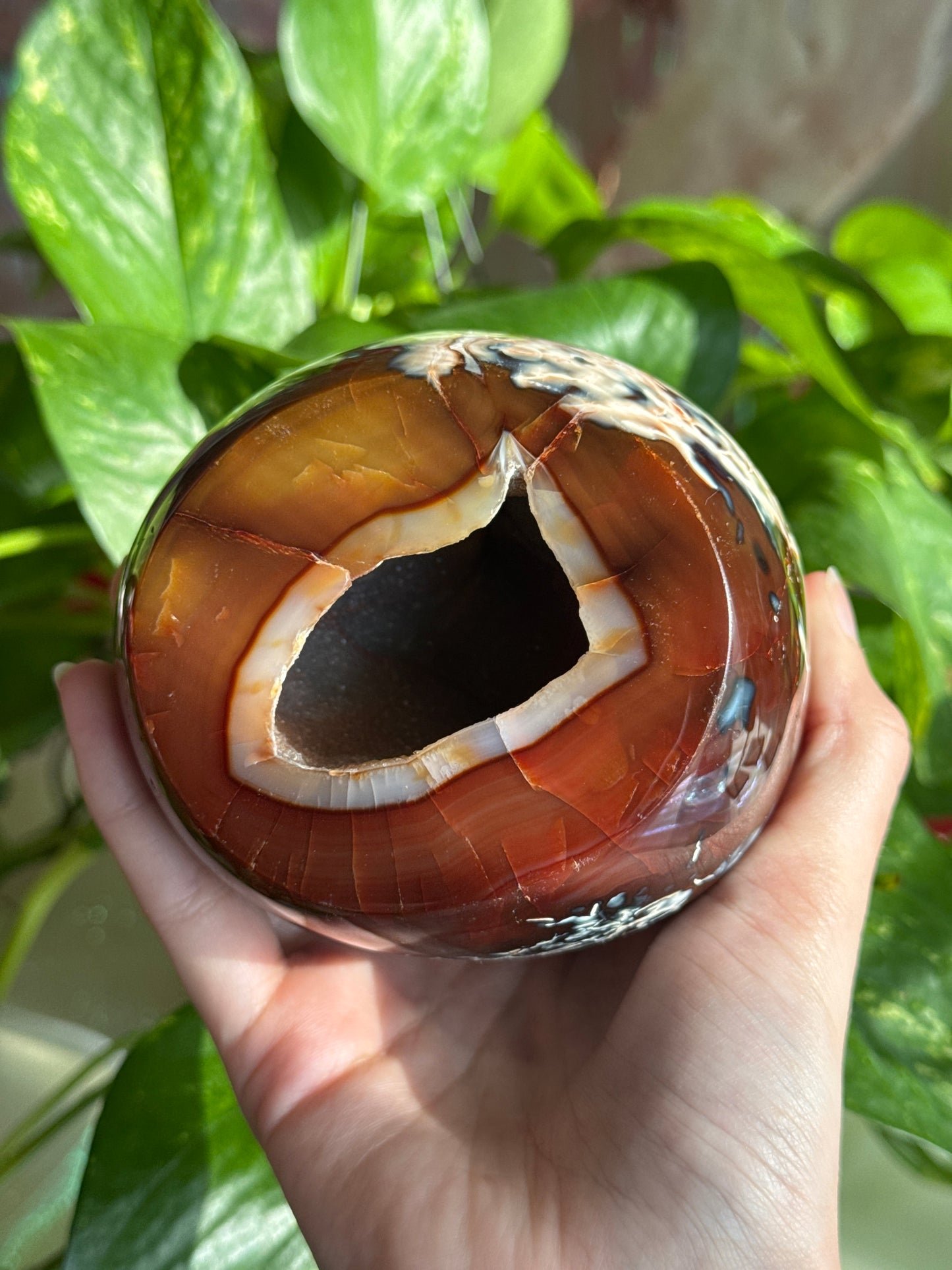 Unique Carnelian & Orca Agate Druzy Cave Freeform