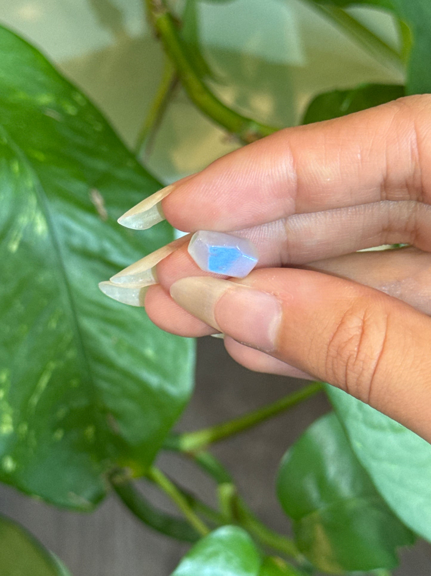 High Grade Flashy Moonstone Freeform