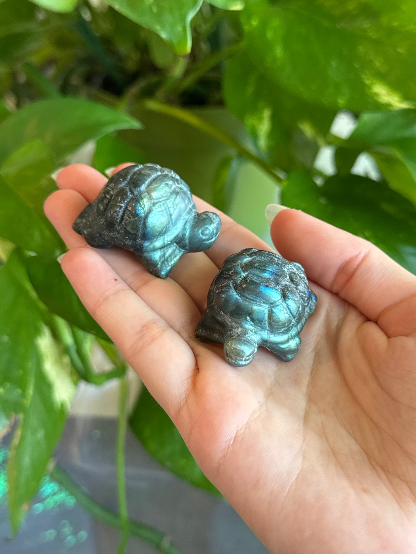 Labradorite Chonky Turtle Carving